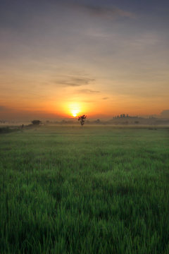  The sun rose from sleep