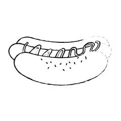 delicious hot dog fast food vector illustration design