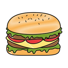 delicious burger fast food vector illustration design