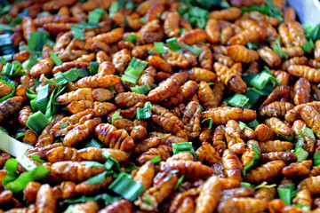 Fried pupa with green leaf thai and chinese freak street food
