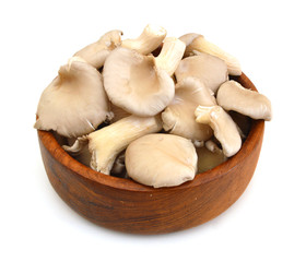 oyster mushroom in wooden bowl on white background
