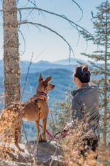 Girl and dog viewing mountains - 193649553