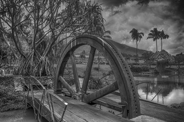 Fototapeta na wymiar Hawaiian Water Wheele