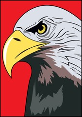 HEAD OF EAGLE