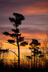 Orange sky in the morning