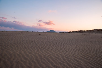 Fototapeta na wymiar 冬の鳥取砂丘にて風紋の朝