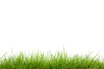 green grass on white background