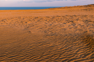 冬の鳥取砂丘にて風紋の朝