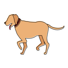 Dog pet cartoon icon vector illustration graphic design