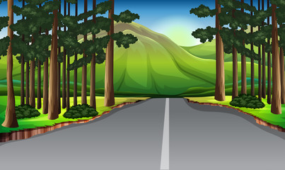 Background scene with trees along the road