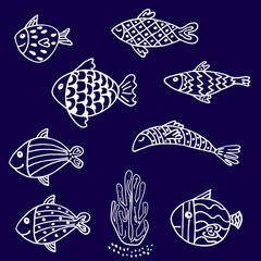 Stylized drawn fish. Vector sketch composition