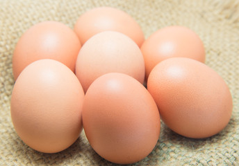 Group of eggs.