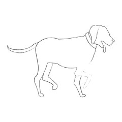 Dog pet cartoon icon vector illustration graphic design