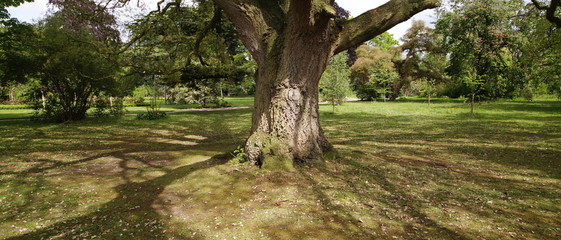  spetchley park gardens worcester worcestershire midlands, england, uk