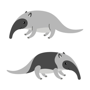 Cute cartoon anteater isolated on white background.