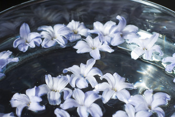 Flowers in bowl
