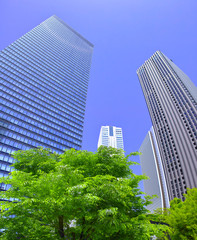 新緑の新宿副都心の風景

