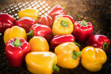 Fresh organic red yellow bell peppers on bamboo basket.