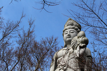 The statue of goddess at 