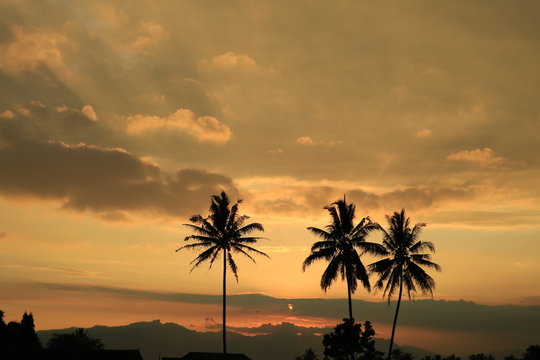 Beautiful Orange Sunset landscape with palm trees