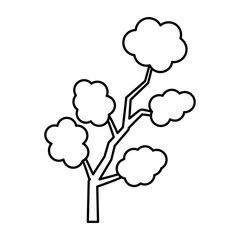 Tree branch isolated icon vector illustration graphic design
