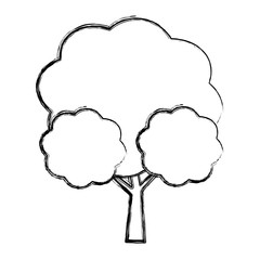Tree nature symbol icon vector illustration graphic design
