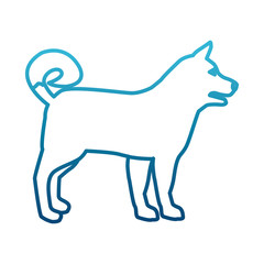 Wolf animal silhouette icon vector illustration graphic design