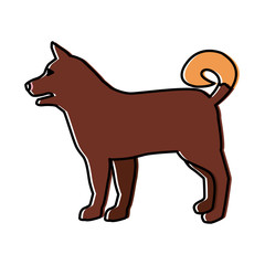 Wolf animal silhouette icon vector illustration graphic design