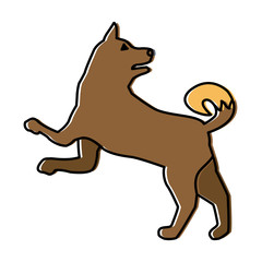 Wolf animal silhouette icon vector illustration graphic design