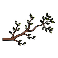 Tree branch isolated icon vector illustration graphic design