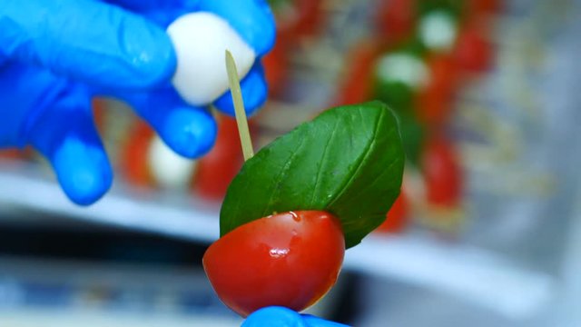 Classic Italian Caprese Canapes Salad With Tomatoes, Mozzarella di Buffala And Fresh Basil