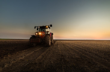 Naklejka premium Tractor plowing fields -preparing land for sowing in autumn