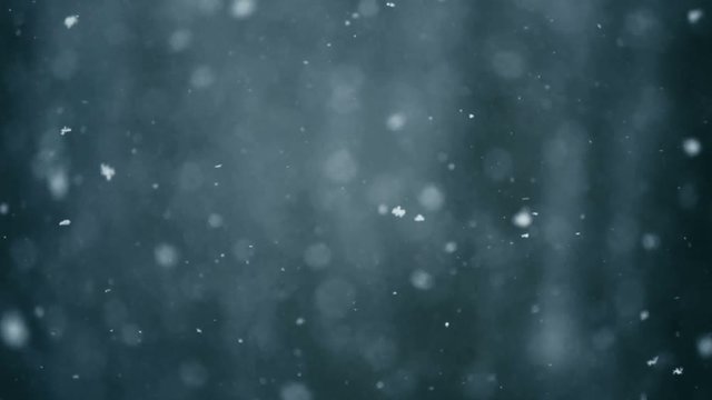 Snow falls at slow motion. Close up shot