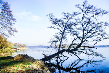 View on autumn landscape by lake Starnberg - Bavaria
