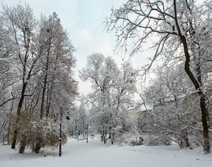 Winter park in Lviv city, Ukraine