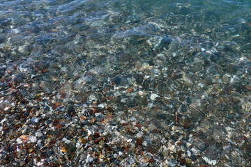 small multicolored stones in clear water on the seashore on a sunny day