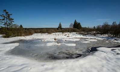 Hohes Venn im Winter