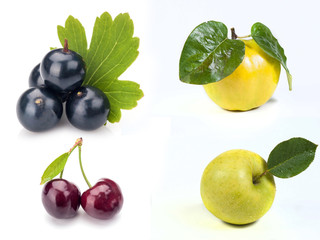 Collection of fresh fruits
