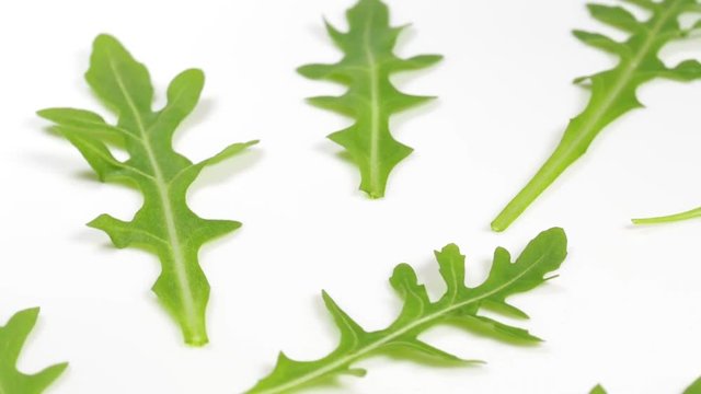 Macro video of fresh green leaves of italian arugula rotating isolated on white plate. Rucola salad. Organic healthy diet food concept.