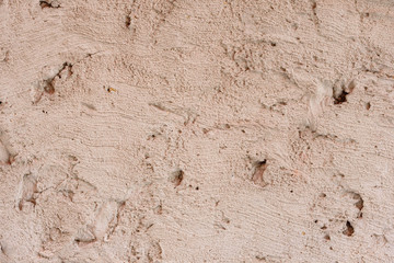 Wall fragment with scratches and cracks