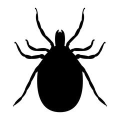 Vector image of a silhouette of a tick on a white background. - obrazy, fototapety, plakaty