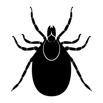 black tick insect silhouette on white clip art preview