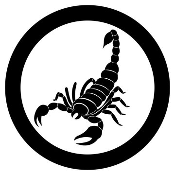 Vector image of a silhouette of a scorpion on a white background.