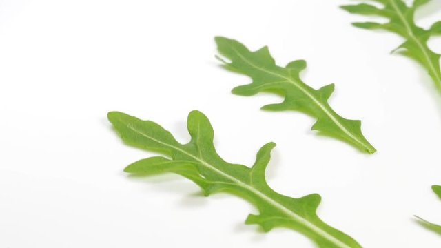 Macro video of fresh green leaves of italian arugula rotating isolated on white plate. Rucola salad. Organic healthy diet food.