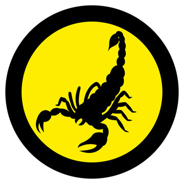 Vector image of a silhouette of a scorpion on a yellow background