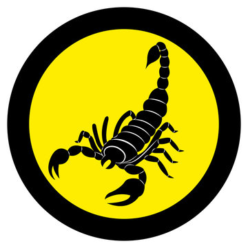 Vector image of a silhouette of a scorpion on a yellow background