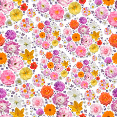 Endless  flowers  pattern. Spring, Spring festive collage with flowers isolated on black background