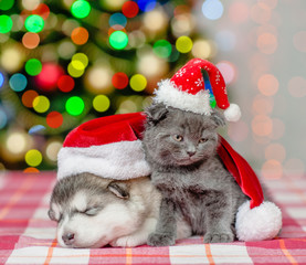 Fototapeta na wymiar Kitten and sleeping puppy in red christmas hats on a background of the Christmas tree