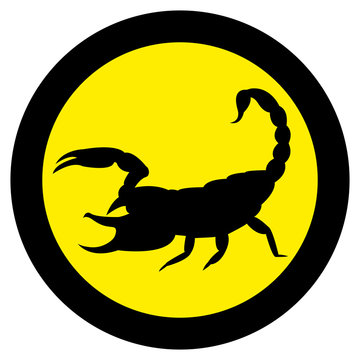 Vector image of a silhouette of a scorpion on a yellow background.