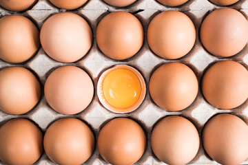 Fresh eggs in the egg panel.